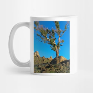 Ridge after Fire Mug